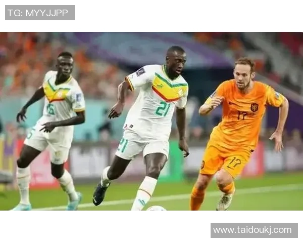 波兰与塞内加尔激战正酣精彩球赛回顾与精彩瞬间分析