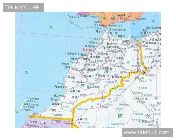 西班牙与摩洛哥交易盈亏分析及策略探讨