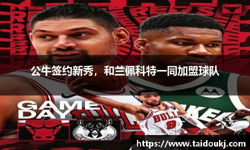 J9集团官网